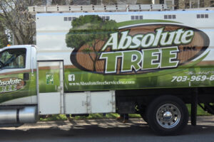 White Absolute Tree Truck from one of the best tree service companies.