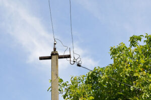 Tree touching a powerline.