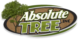 Absolute Tree Logo