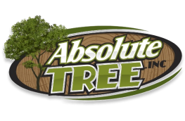 Absolute Tree Logo