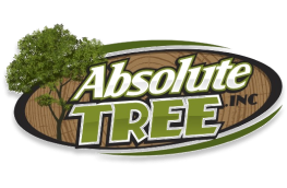 Absolute Tree Logo