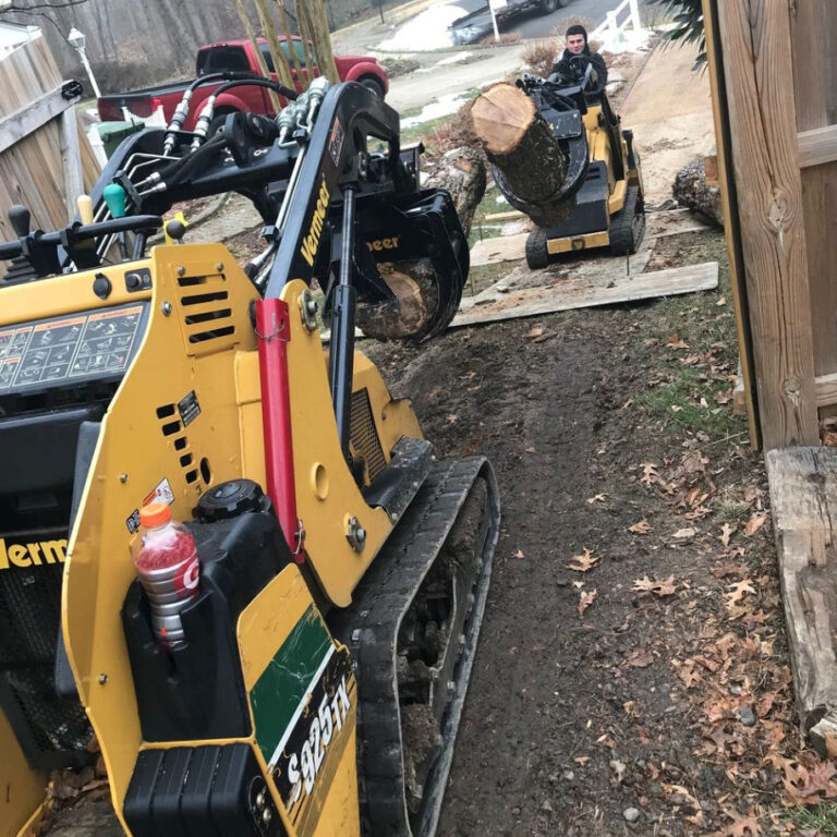 Emergency Tree Service Absolute Tree Service Northern Virginia