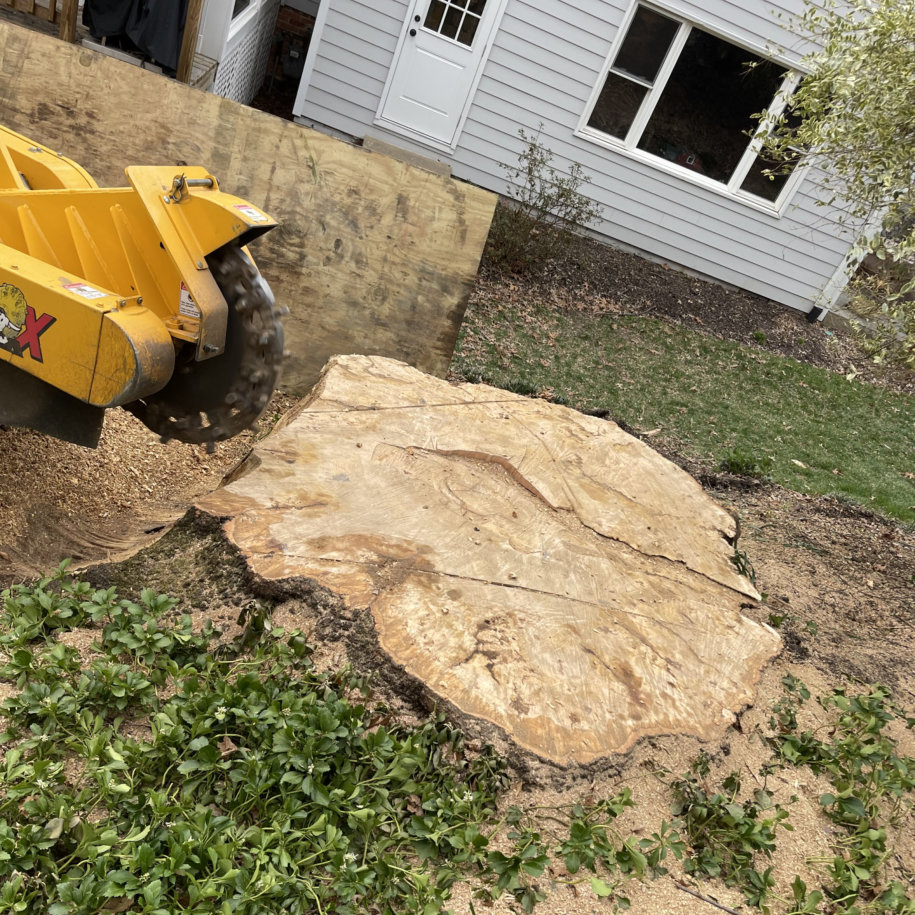AT-website-homepage-section-stump-grinding