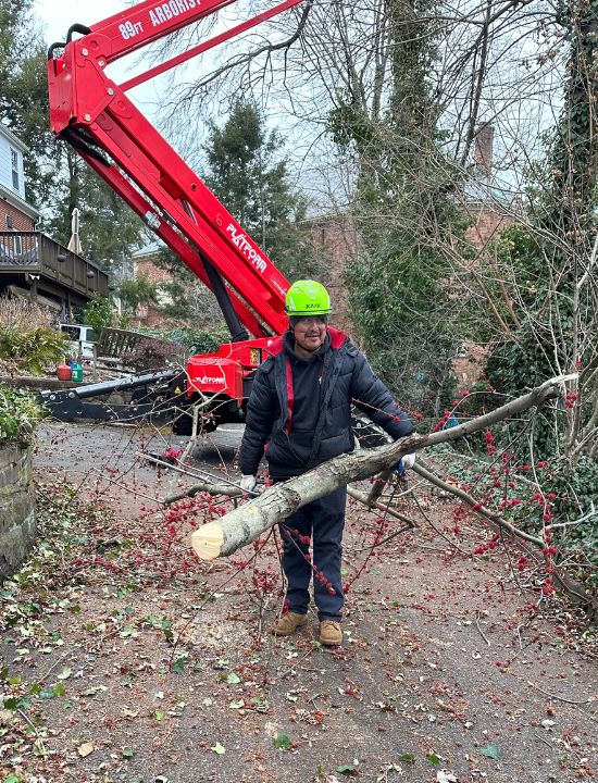 AT-website-homepage-section-tree-removal-man-red