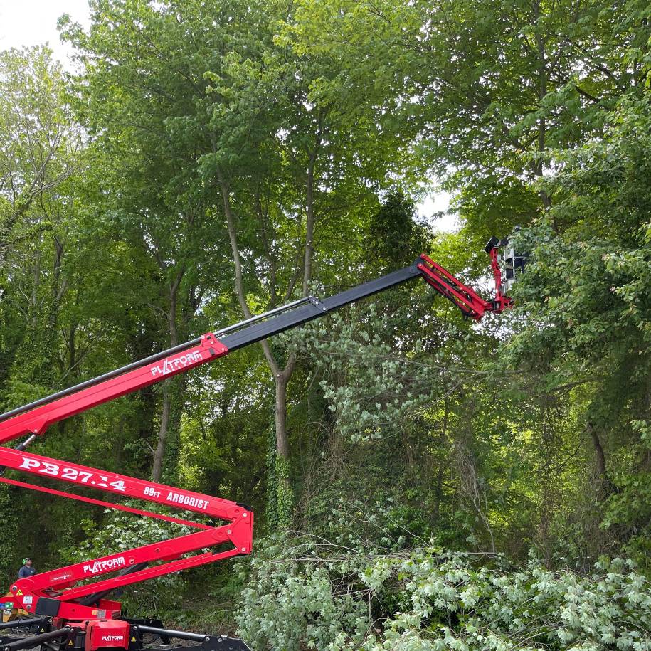 AT-website-pruning-trimming-section-red-equipment-tree-branches