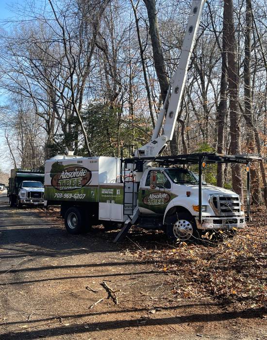 AT-website-tree-maintenance-section-truck-crane