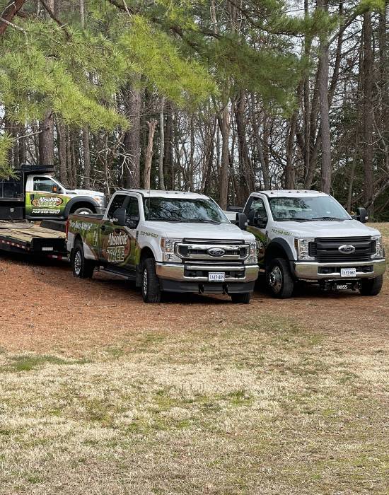 AT-website-tree-preservation-section-trucks