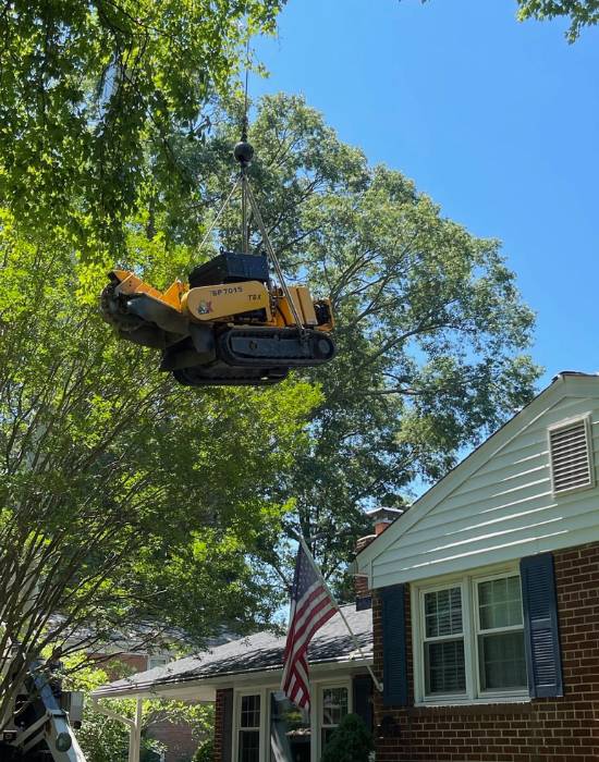 Firewood Delivery - Absolute Tree Service - Northern Virginia