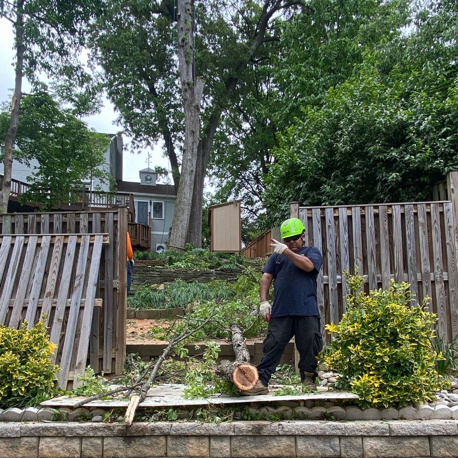 Firewood Delivery - Absolute Tree Service - Northern Virginia