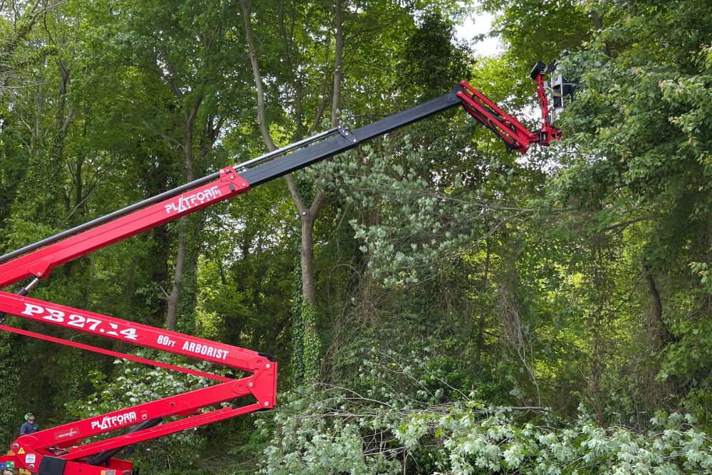 The Absolute Tree team using a spider lift to prune a tree in Fairfax Station, VA