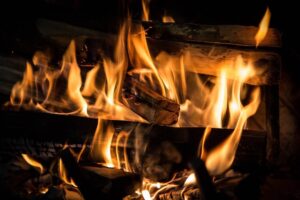 A roaring orange fire built from one of the best trees for firewood blazes in a fireplace.