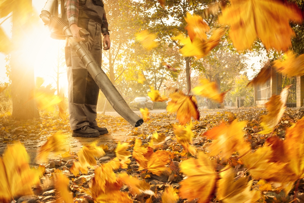 Guy with a leaves blower to clean up fallen leaves pre-autumn