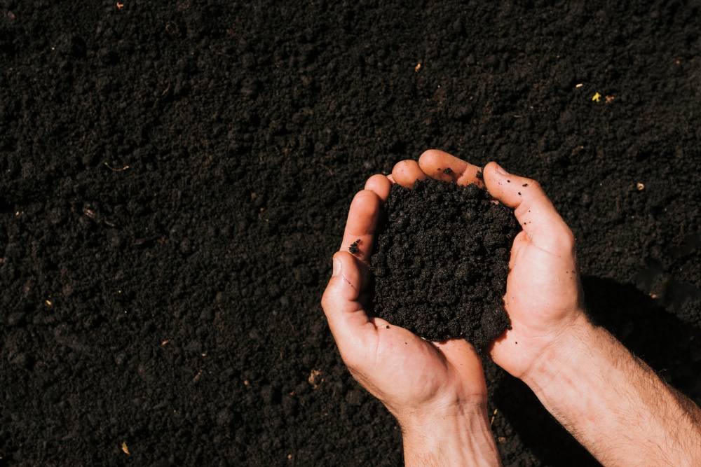 Hands hold a rich, dark soil.