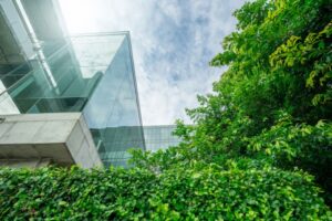 Commercial building with healthy trees in northern Virginia.