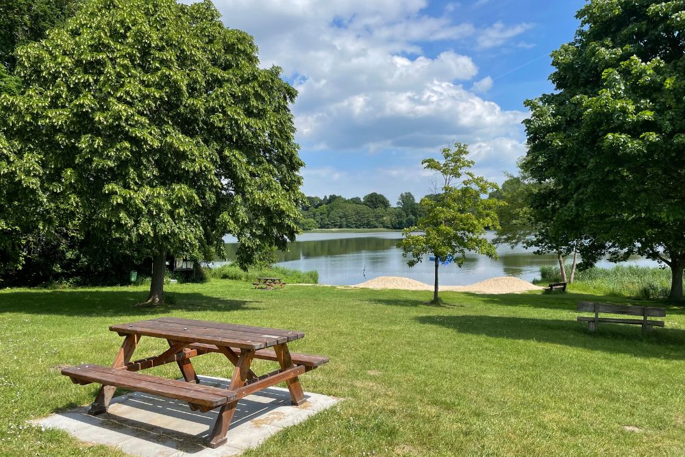 A park in northern Virginia with healthy trees cared for by a commercial tree service.