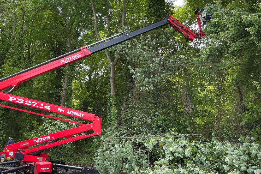 Absolute Tree Service commercial tree contractor pruning trees from a spider lift.