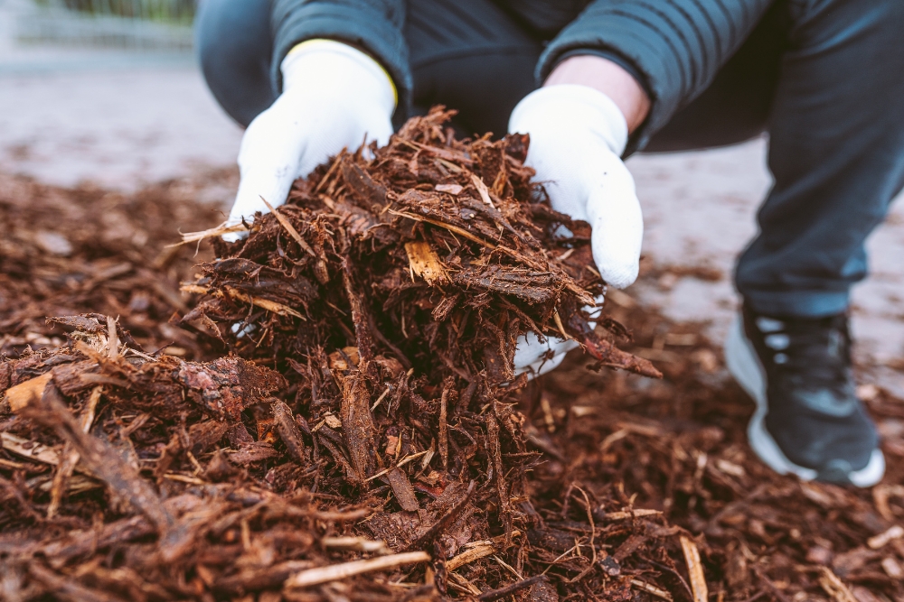 An arborist from Absolute Tree working with mulch near Burke, VA.