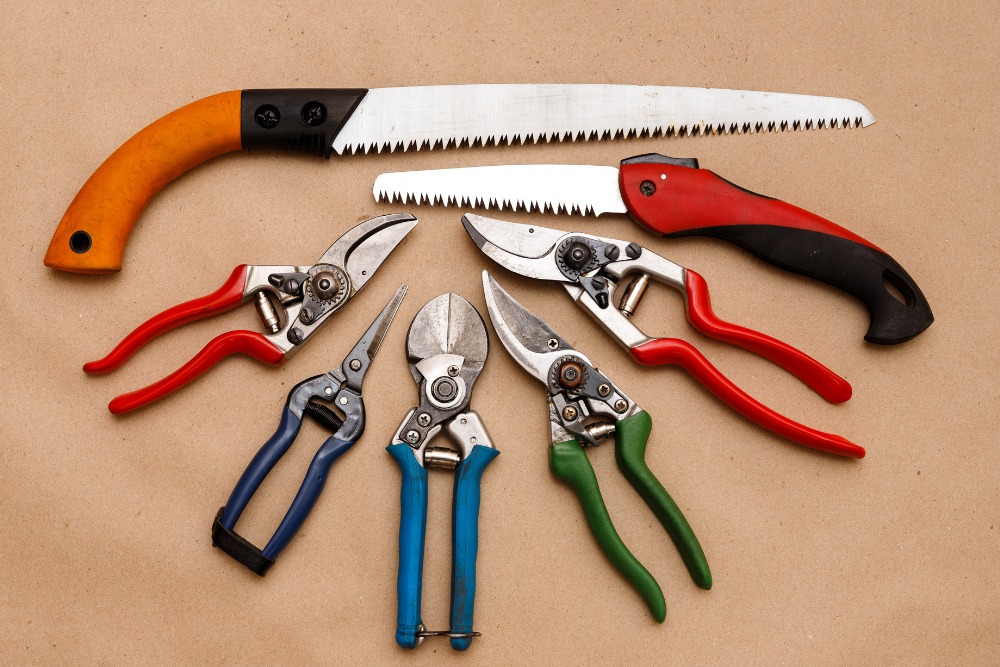 Essential pruning tools laid out on a table including hand pruners and loppers for ornamental tree care in Northern Virginia.