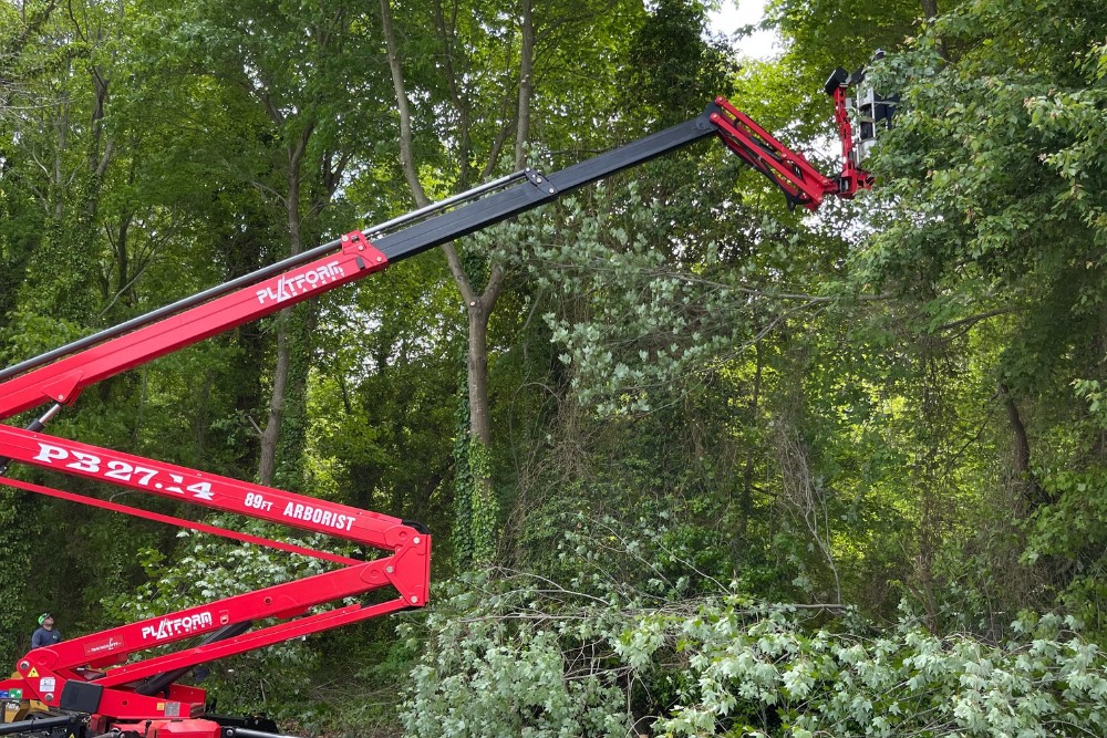 The Absolute Tree team using a spider lift to prune a tree in Arlington, VA.