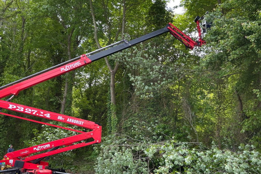 The Absolute Tree team using a spider lift to trim a tree in Fairfax Station, VA.