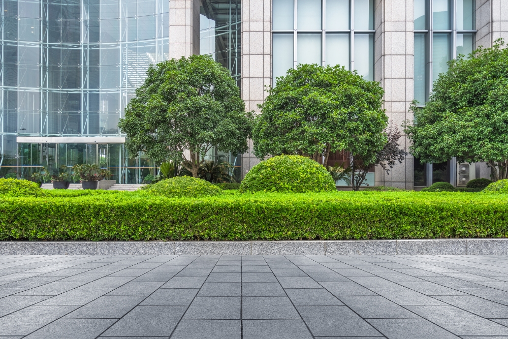 A professionally maintained commercial property landscaping with precisely trimmed hedges and ornamental trees in front of modern office building.