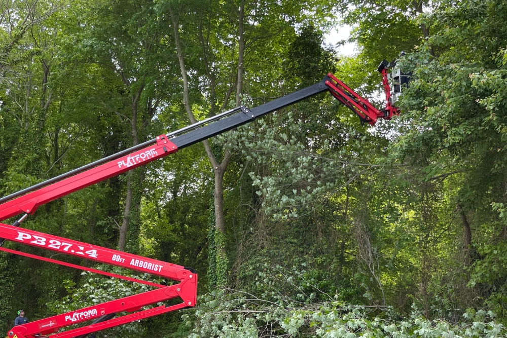 A red spider lift extending into dense tree canopy, demonstrating specialized equipment needs for complex commercial tree pruning.