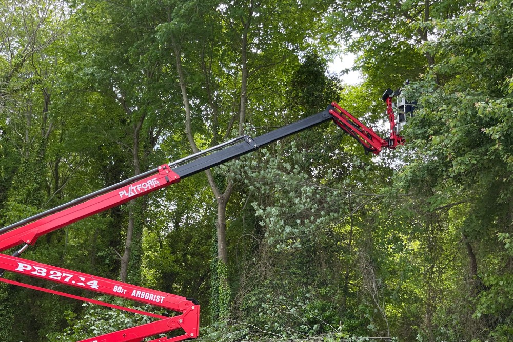 An Absolute Tree Service spider lift extending its 89-foot boom into a dense tree canopy to remove dead branches in Northern Virginia.