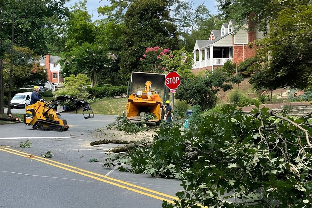 A tree crew feeds storm debris into a chipper while a compact loader clears branches from a residential street.